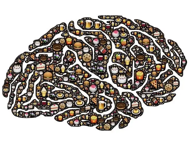 Emotionales Essen beginnt im Kopf und nicht im Magen